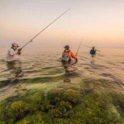 Patagonia River Salt Wading Boots -ReelMasters Store 231 patagonia river salt wading boots feather grey 09