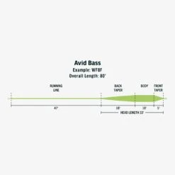 RIO Avid Bass Fly Line -ReelMasters Store FW Avid Bass fly line taper