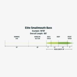 RIO Elite Smallmouth Bass Fly Line -ReelMasters Store FW Elite Smallmouth Bass fly line taper