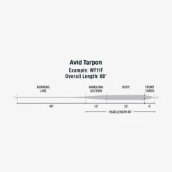 RIO Avid Tarpon -ReelMasters Store SW Avid Tarpon fly line taper