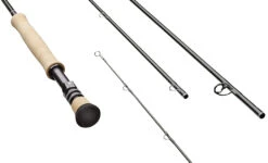 Sage R8 Fly Rod - 691-4 - 6wt 9ft FB 4 Pc -ReelMasters Store Sage R8 CORE Group Fighting Butt 98f25c2c a465 4fc9 848d 8ec14fe36ebe