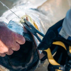 Loon Outdoors Loon Apex Needle Nose Plier -ReelMasters Store apex needlenose pliers 2 1000x 6819d4f7 0397 498a 8d60 442be444e783