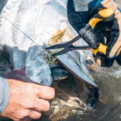 Loon Outdoors Loon Apex Needle Nose Plier -ReelMasters Store apex needlenose pliers 4 1000x 3778a51b 7c68 4565 b19b 54f94f32f667